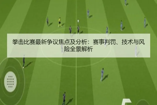 拳击比赛最新争议焦点及分析：赛事判罚、技术与风险全景解析