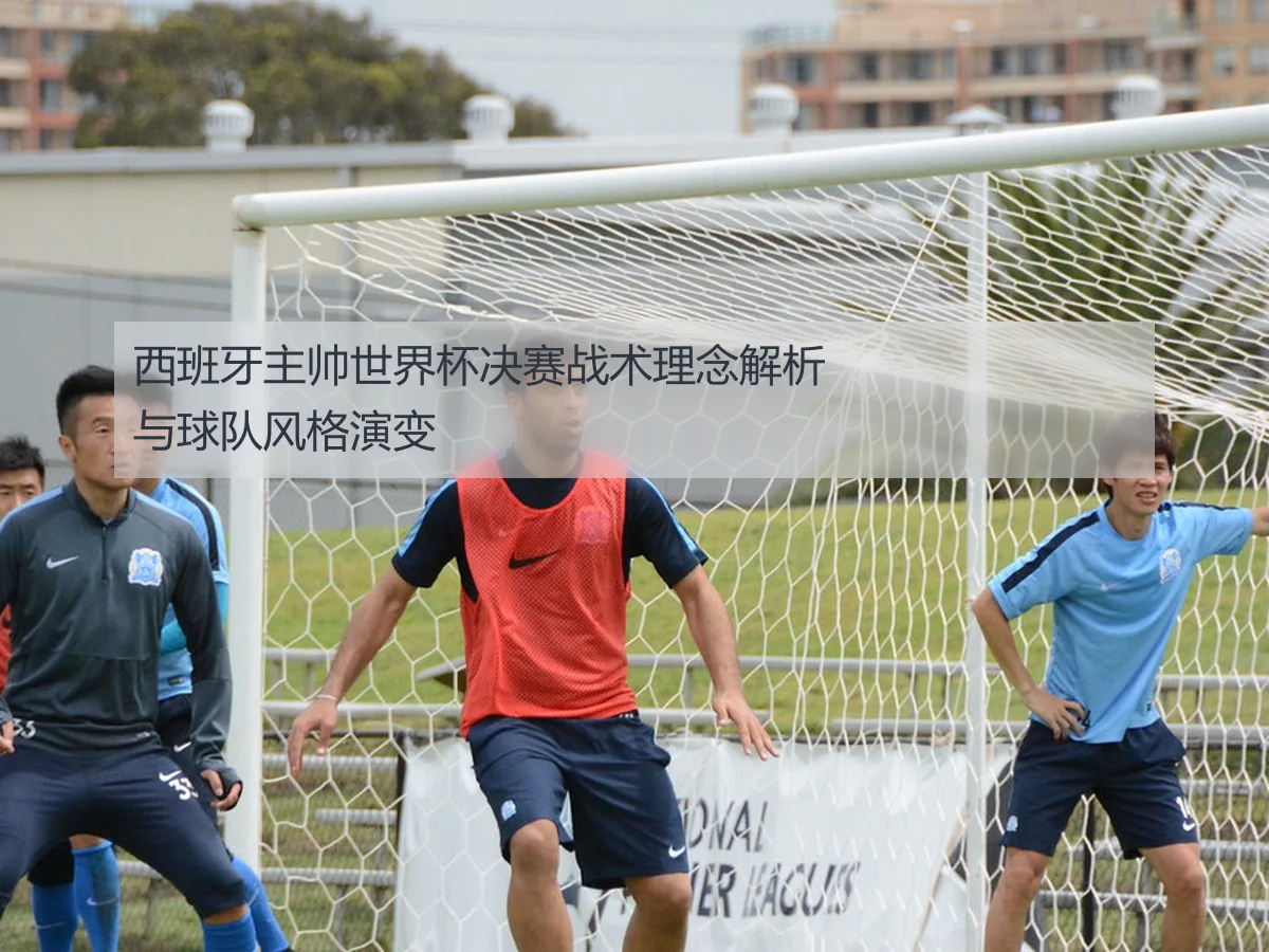 西班牙主帅世界杯决赛战术理念解析与球队风格演变